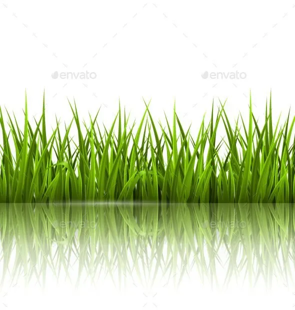 Expert landscaping services for outdoor upgrades in Creswell, OR by J & A Lawn