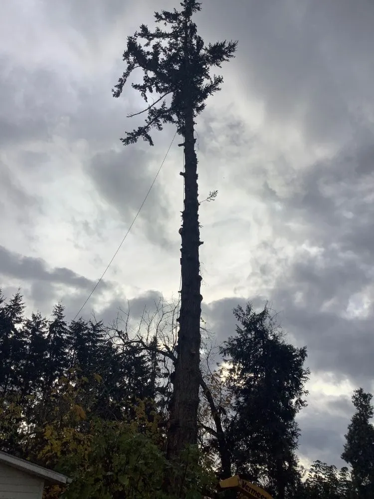 Expert landscape installation with custom design in Creswell, OR by J & A Lawn