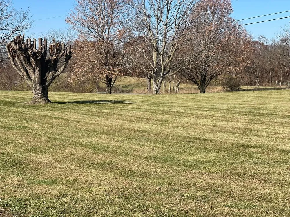 Trusted yard cleanup service for homes across Byesville, OH - J & A Lawncare