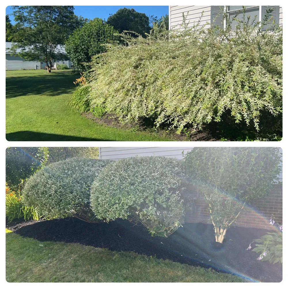 Reliable yard cleanup service for outdoor upgrades in Newton Falls, OH by J & A Outdoor Services