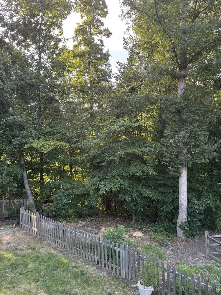 Affordable outdoor landscaping experts serving Pratts, VA - J & A Outdoor Services