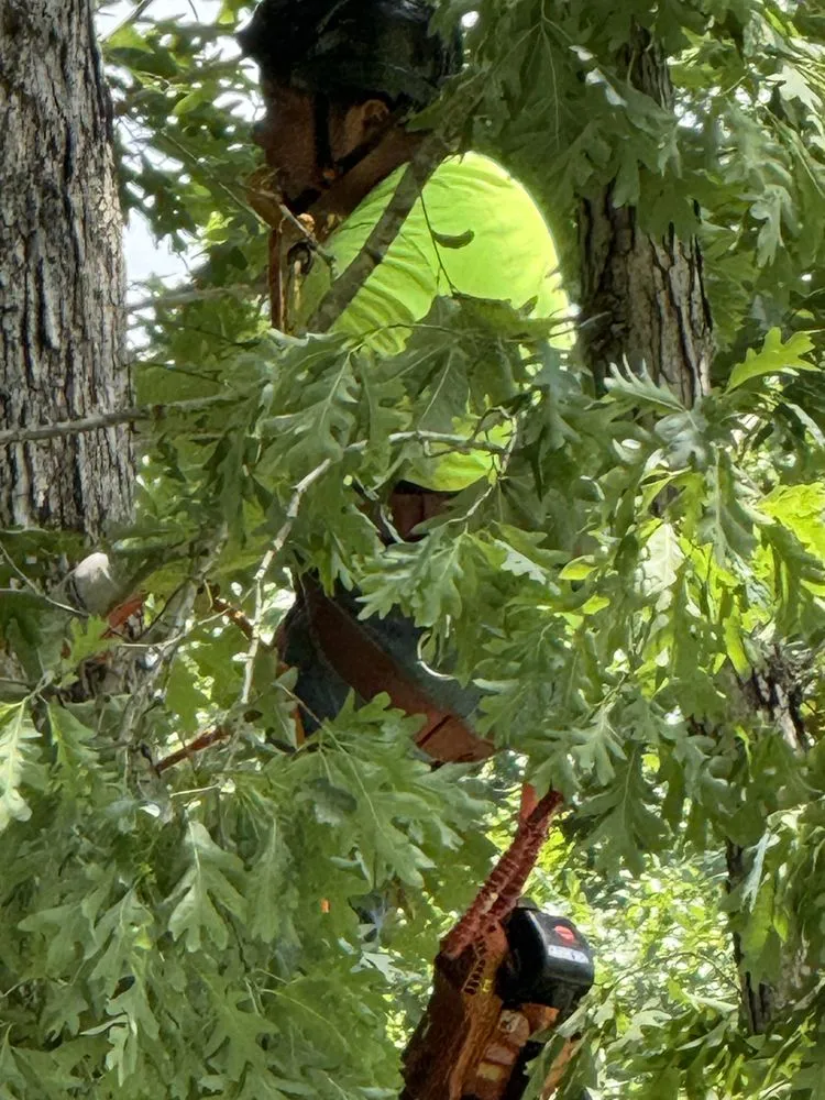 Professional landscaping services experts serving Pratts, VA - J & A Outdoor Services