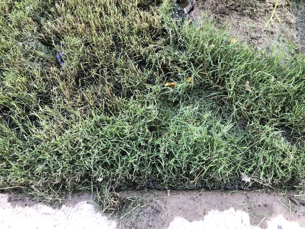 Top-rated landscaping services for homes across Visalia, CA - J & A Rubio Landscaping & Maintenance