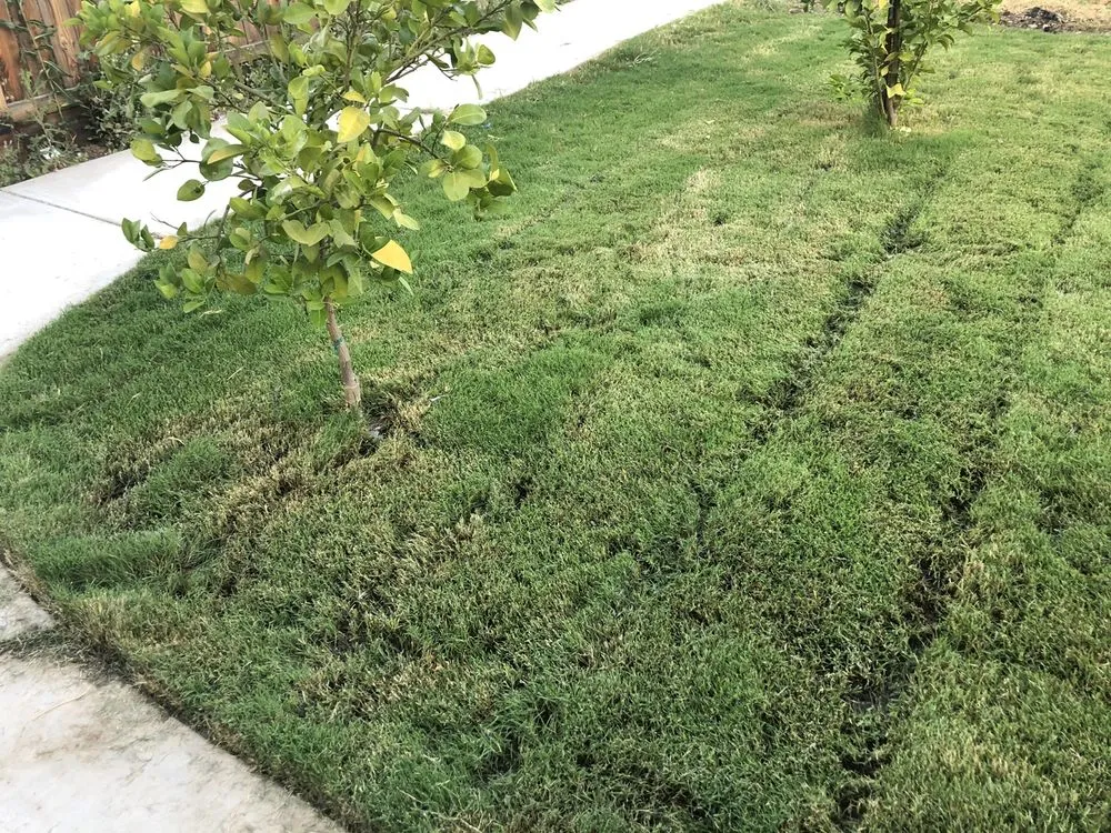 Custom yard maintenance in Visalia, CA - J & A Rubio Landscaping & Maintenance
