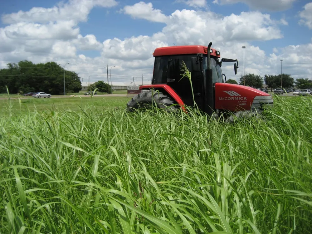 Expert yard cleanup service in Allen, TX - J & A Services