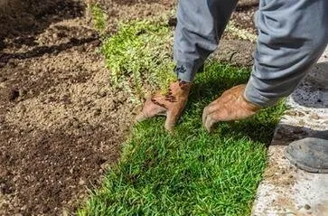 Reliable yard maintenance in Woodbridge, VA by J & B Landscaping and Lawn Care