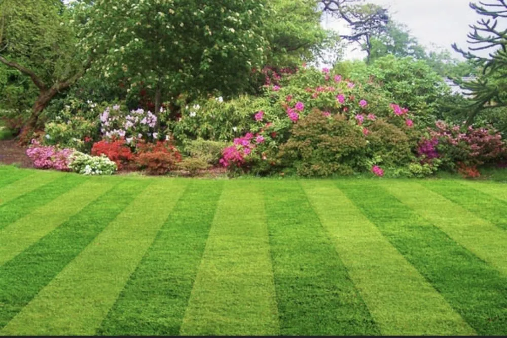 Expert lawn care service in Pittsburgh, PA - J & B Landscaping