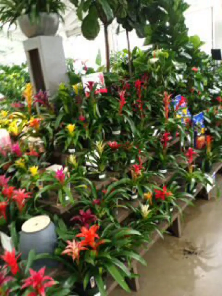 Affordable yard maintenance in Tallapoosa, GA by J & B Landscaping