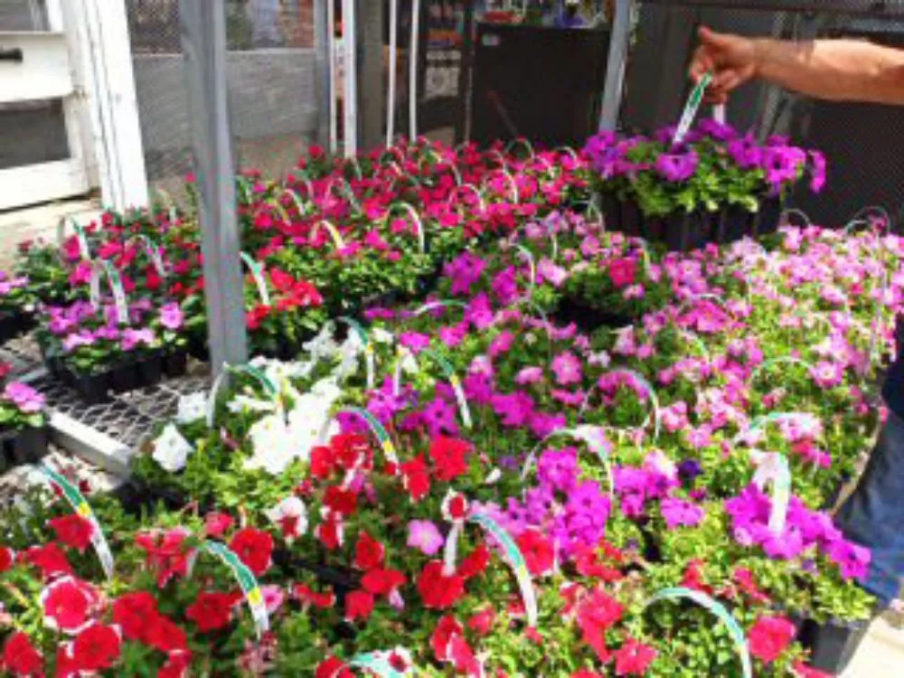 Top-rated yard maintenance experts serving Tallapoosa, GA - J & B Landscaping