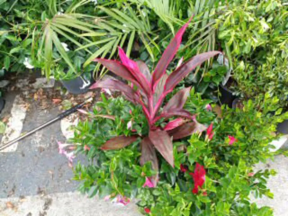 Custom yard maintenance experts serving Tallapoosa, GA - J & B Landscaping