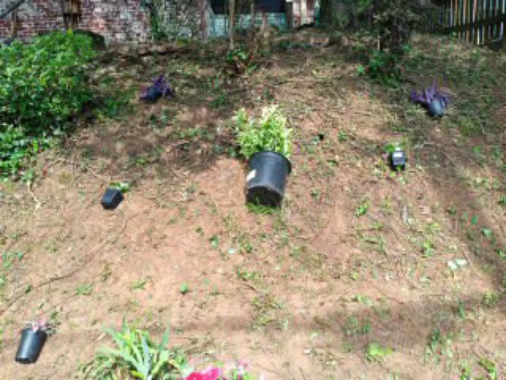 Reliable lawn mowing service in Tallapoosa, GA - J & B Landscaping