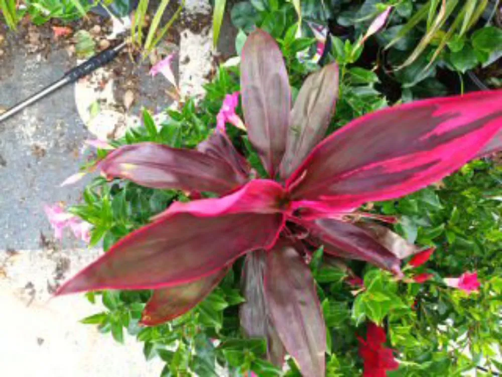 Reliable landscape installation in Tallapoosa, GA - J & B Landscaping