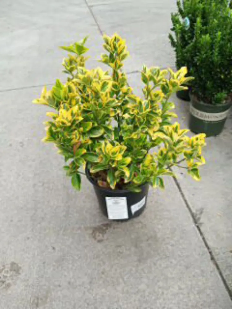 Reliable garden landscaping for residential properties across Tallapoosa, GA - J & B Landscaping