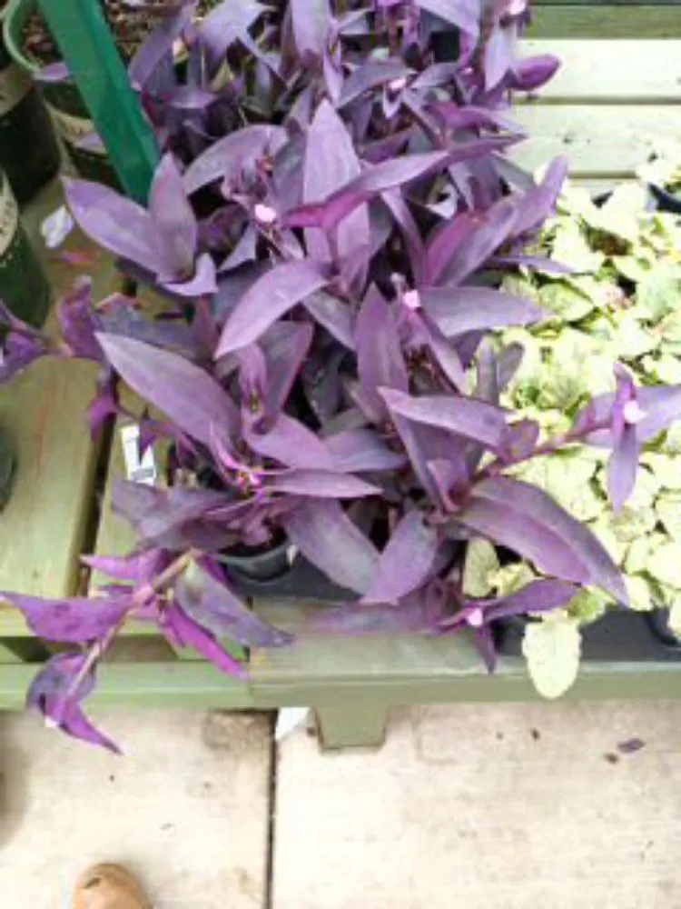 Local garden landscaping near you across Tallapoosa, GA - J & B Landscaping