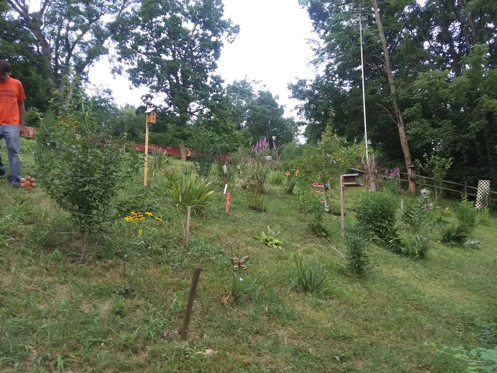 Custom lawn mowing service in Ripley, OH by J & B Lawn Services