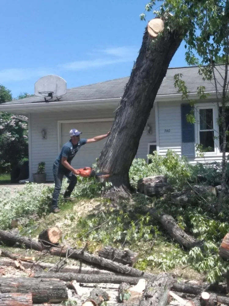 Custom lawn care service with custom design across Norway, MI - J & B's Go Green Enterprises