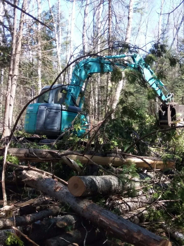 Local residential landscaping in Norway, MI by J & B's Go Green Enterprises