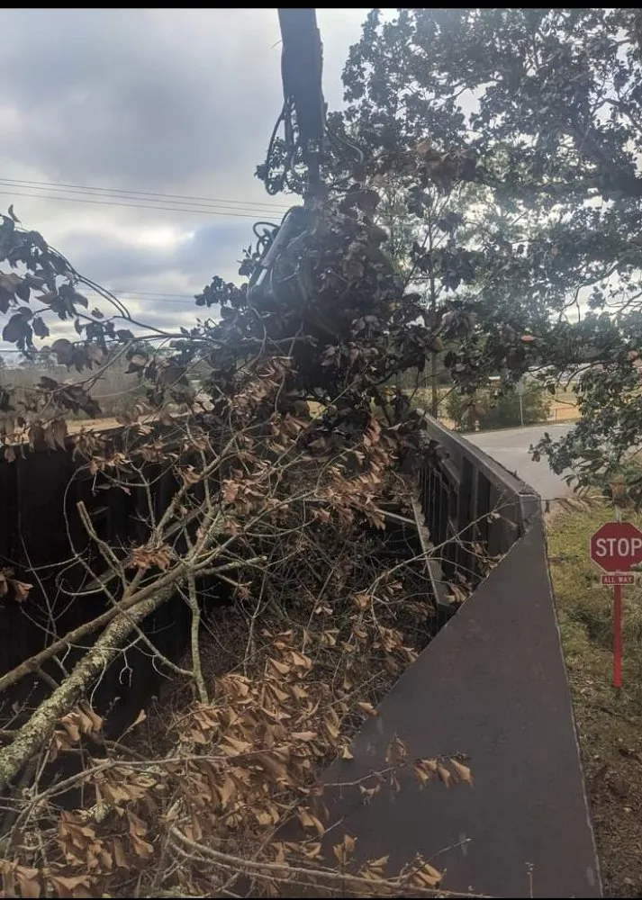 Expert garden landscaping in Norway, MI by J & B's Go Green Enterprises