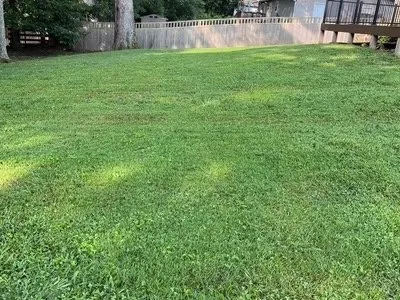 Custom lawn mowing service for outdoor upgrades across Knoxville, TN - J & Bs Service Needs