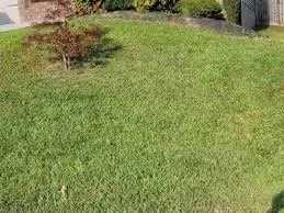 Top-rated landscape installation experts serving Knoxville, TN - J & Bs Service Needs