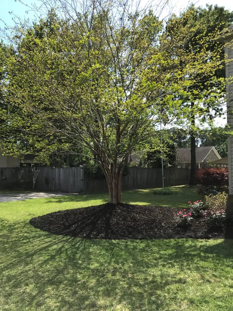 Top-rated lawn mowing service in Hanahan, SC - J & C Firewood And Lawn Services