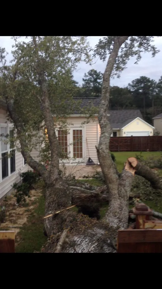 Expert landscape installation in Hanahan, SC - J & C Firewood And Lawn Services