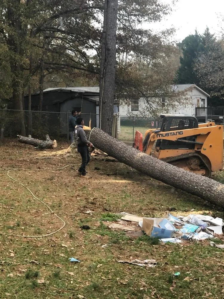 Trusted yard maintenance for beautiful yards in Villa Rica, GA by J & C Landscape Design and Tree Services