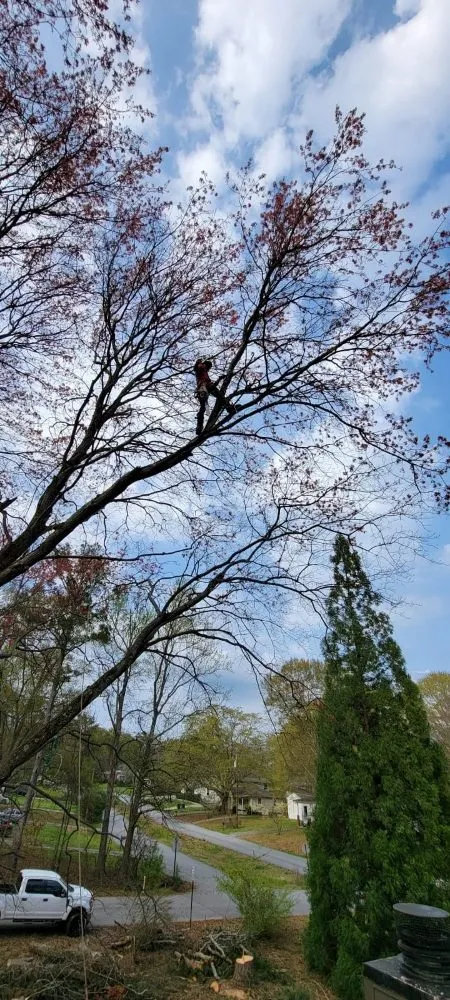 Professional lawn mowing service in Villa Rica, GA by J & C Landscape Design and Tree Services