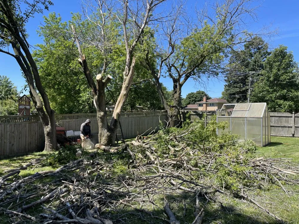 Local lawn care service in Westmont, IL - J & C Landscaping