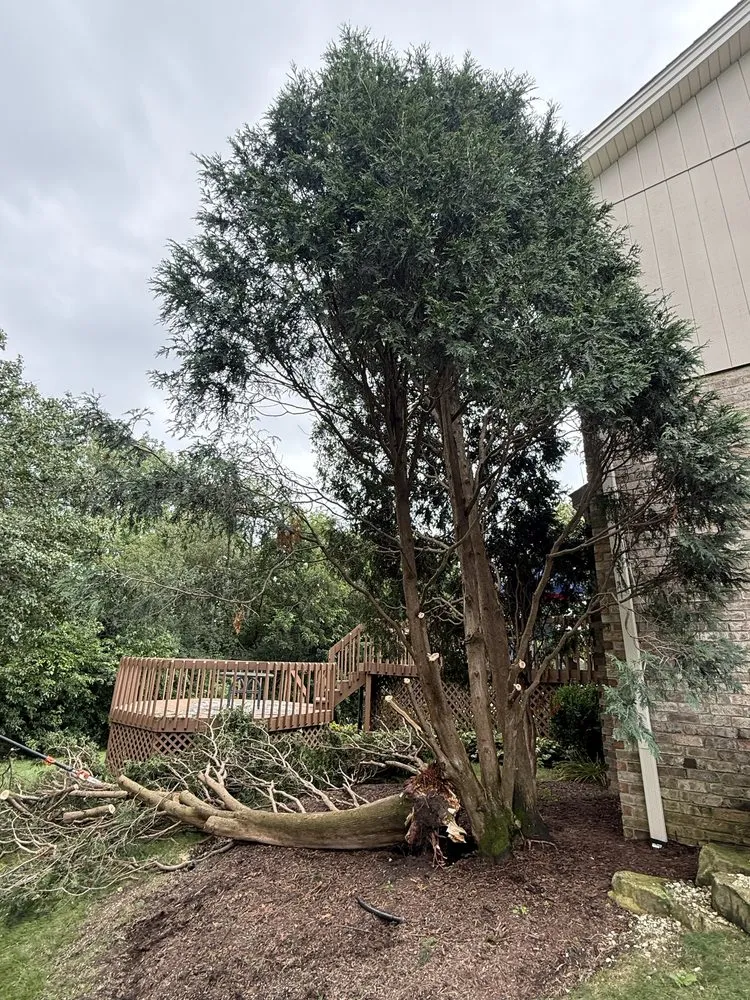 Reliable landscape design for residential properties in Westmont, IL by J & C Landscaping