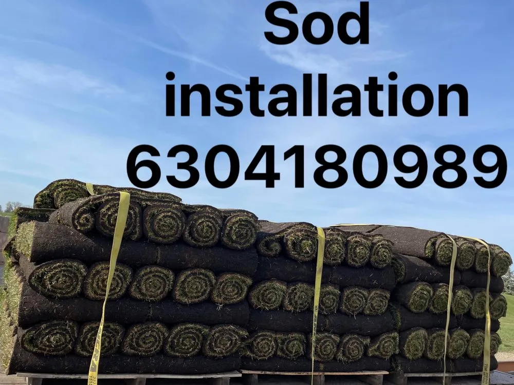 Top-rated landscape installation experts serving Westmont, IL - J & C Landscaping