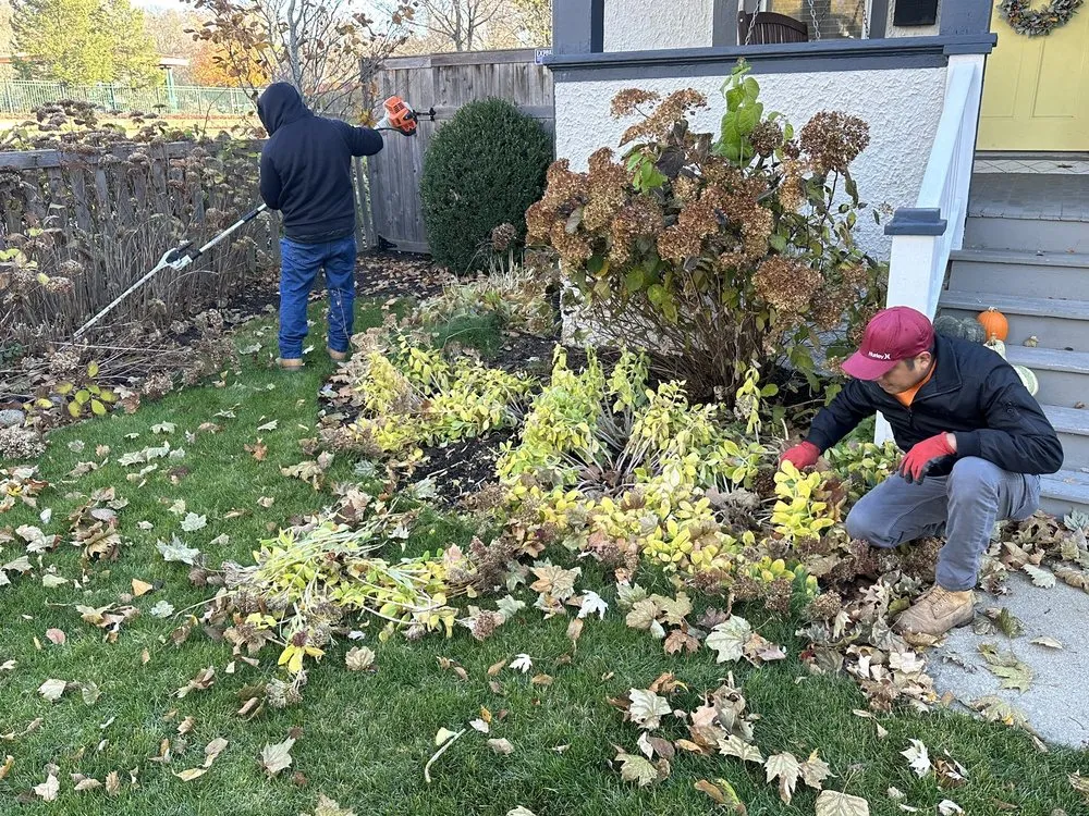 Affordable residential landscaping experts serving Westmont, IL - J & C Landscaping