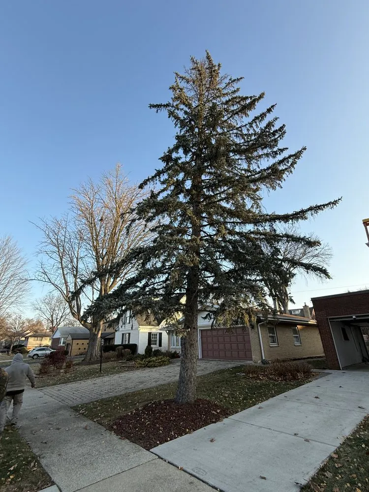 Expert lawn care service near you in Westmont, IL by J & C Landscaping