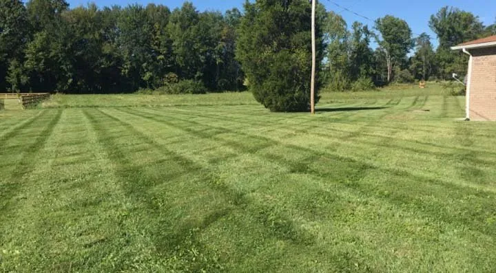 Expert outdoor landscaping in Memphis, IN - J & C Lawn & Landscape
