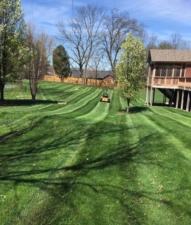 Affordable outdoor landscaping in Memphis, IN by J & C Lawn & Landscape