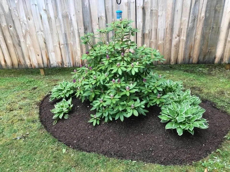 Top-rated landscape installation experts serving Lebanon, ME - J & C Property Maintenance