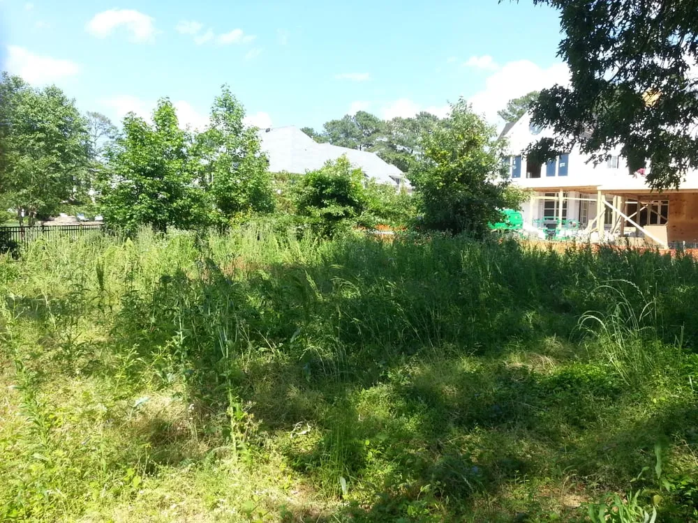 Professional landscape design with custom design across Virginia Beach, VA - J & C Tree Service, LLC