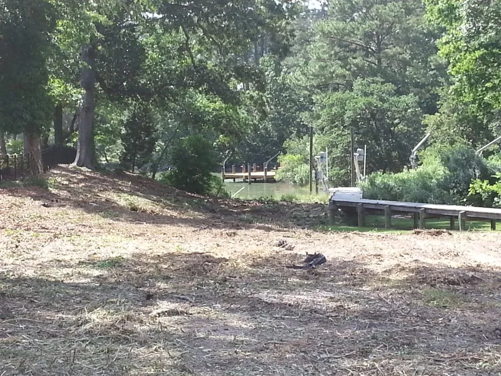 Top-rated residential landscaping in Virginia Beach, VA - J & C Tree Service, LLC