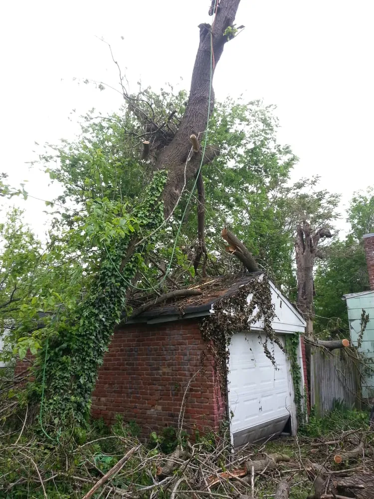 Expert lawn mowing service in Virginia Beach, VA - J & C Tree Service, LLC