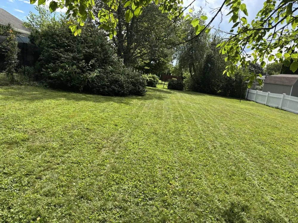 Top-rated lawn mowing service for beautiful yards across Phillipsburg, NJ - J & D Cutting