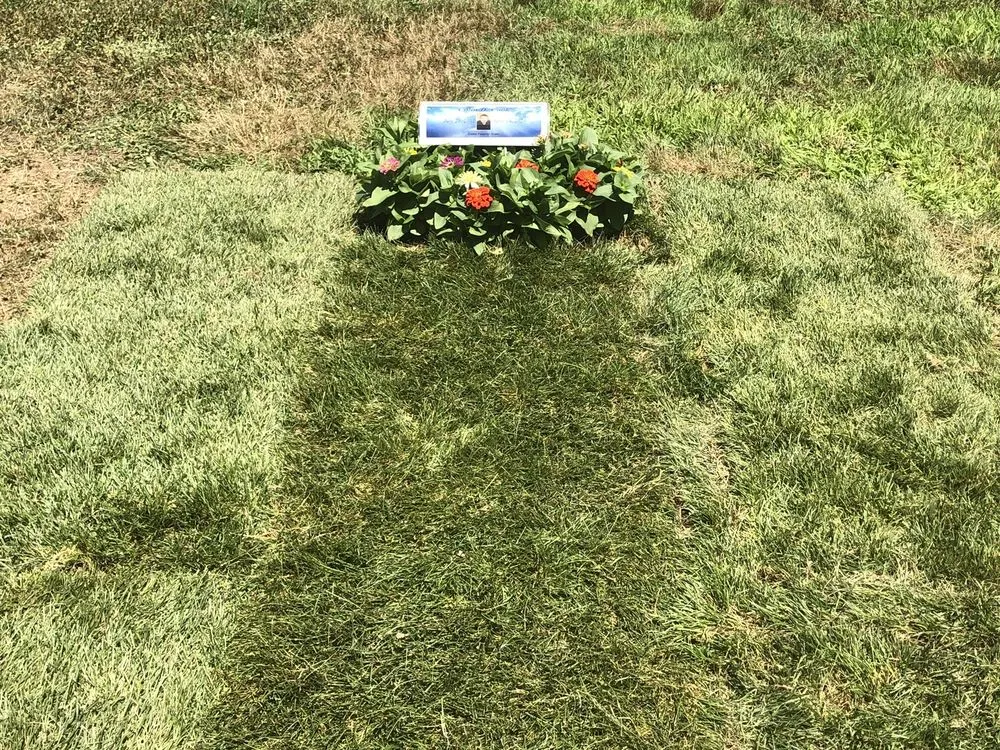 Custom yard cleanup service in Marlborough, MA - J & D Landscape