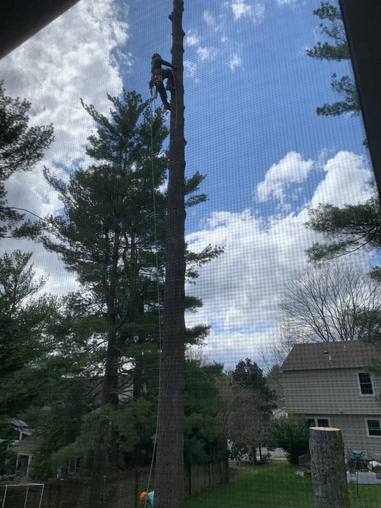 Affordable yard maintenance for outdoor upgrades in Gaithersburg, MD by J & D Landscaping And Tree Expert