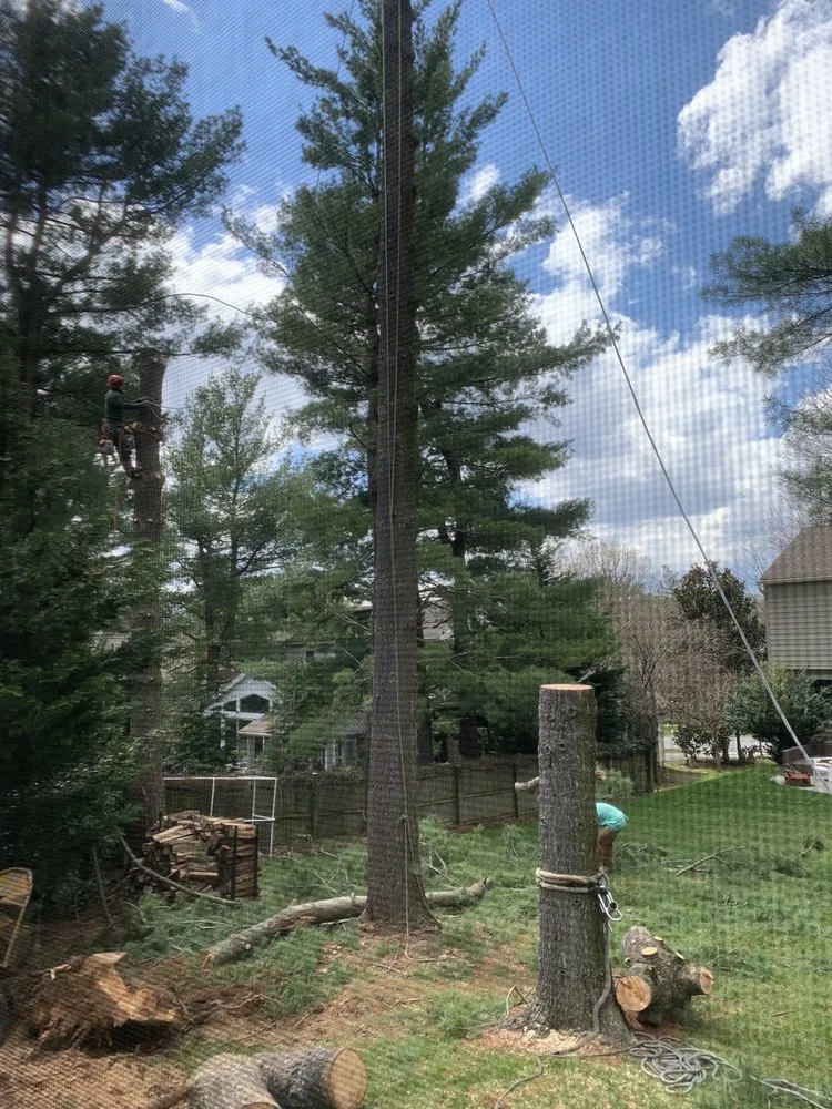 Local landscape design in Gaithersburg, MD by J & D Landscaping And Tree Expert