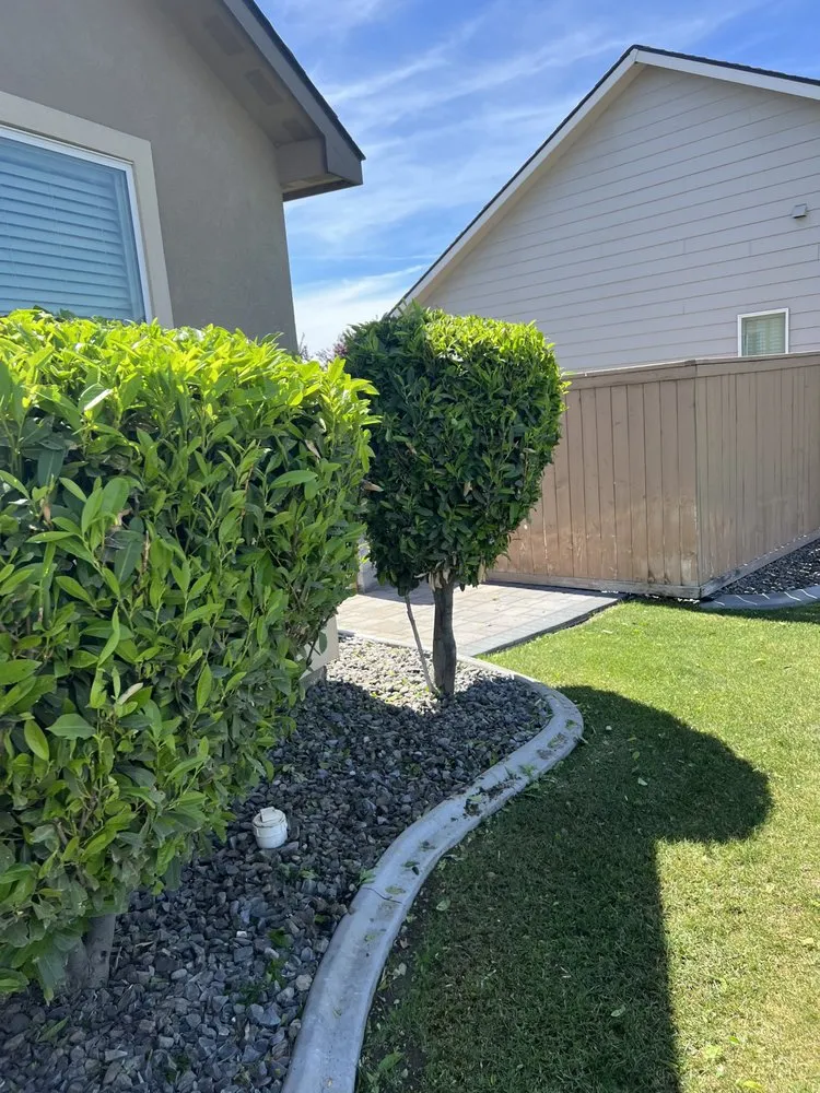 Affordable lawn care service in Pasco, WA - J & D Lawn Service