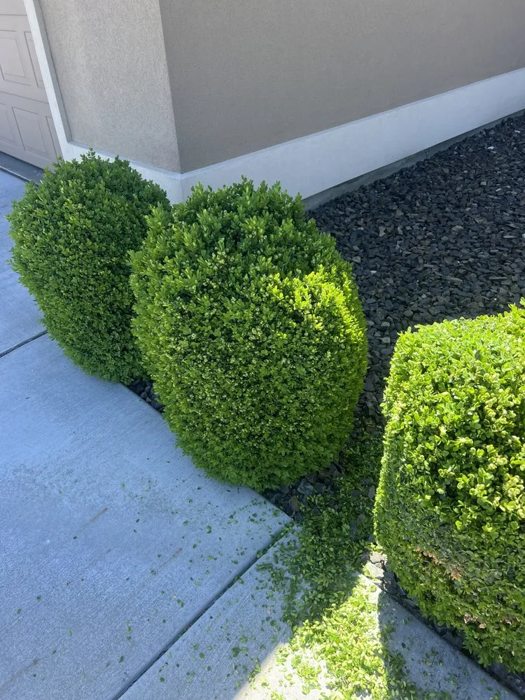Trusted lawn care service in Pasco, WA - J & D Lawn Service