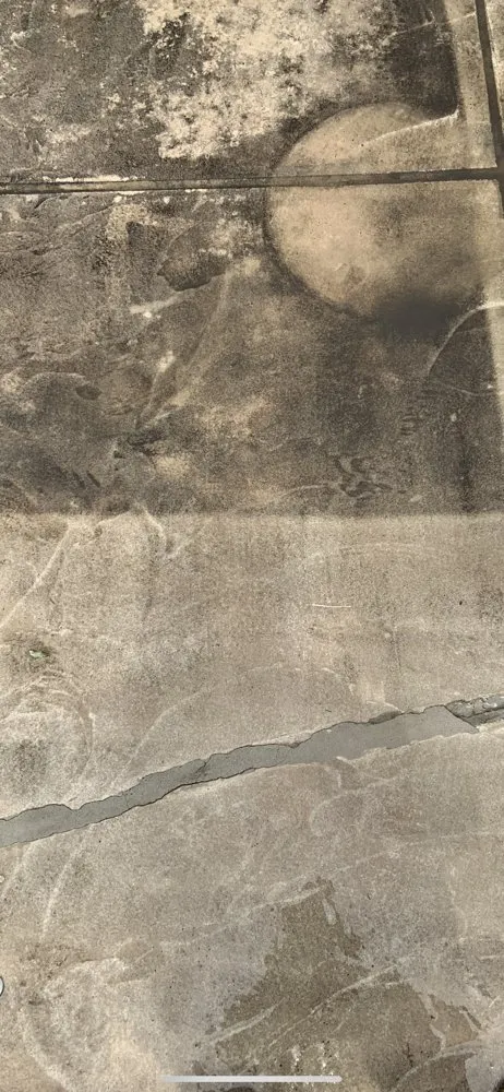 Custom yard cleanup service experts serving Coram, NY - J & D Property Improvements