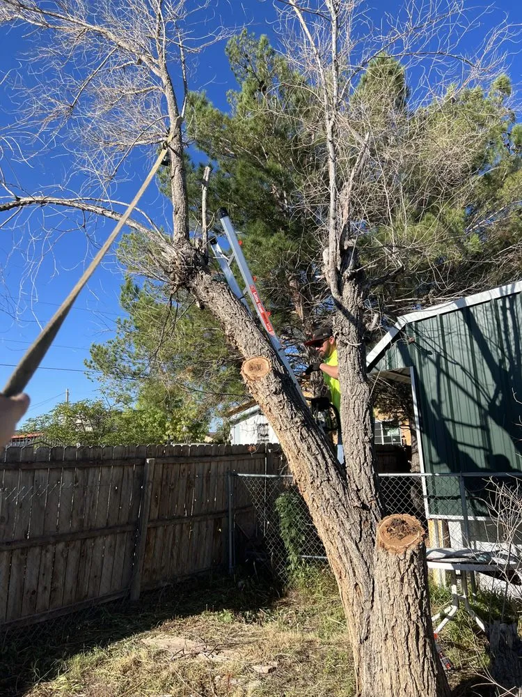 Top-rated residential landscaping experts serving El Paso, TX - J & D Turf