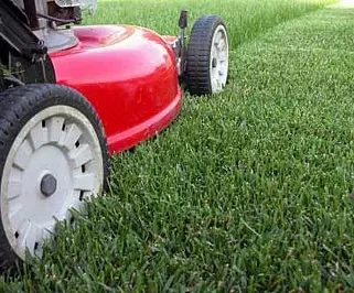 Professional yard maintenance in Woodbridge, VA - J & D's Curb Appeal