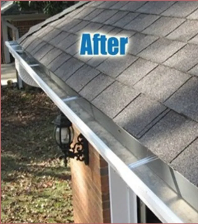 Professional yard cleanup service experts serving Woodbridge, VA - J & D's Curb Appeal