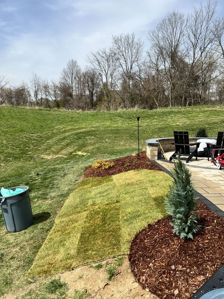 Trusted yard cleanup service near you in Sykesville, MD by J & E Handyman Services